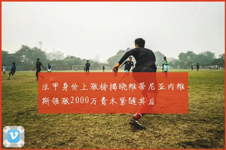 法甲身价上涨榜揭晓维蒂尼亚内维斯领涨2000万青木紧随其后